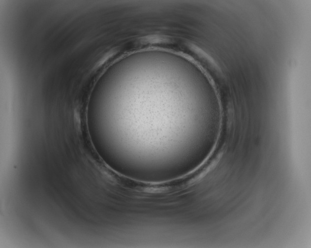 X0000114061305200910131137