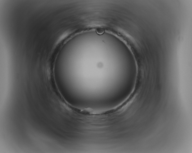 X0000114061306200910131137