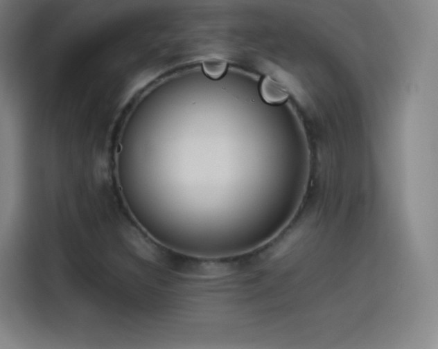 X0000114061308200910131137