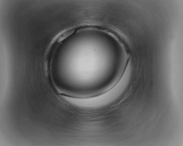 X0000114061310200910131137