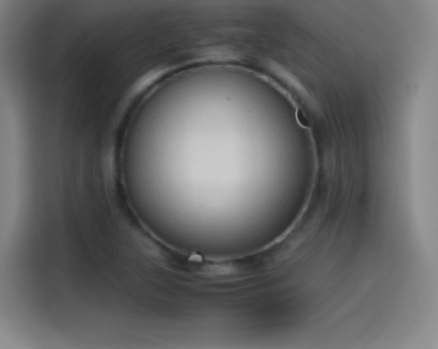 X0000114061315200910131137