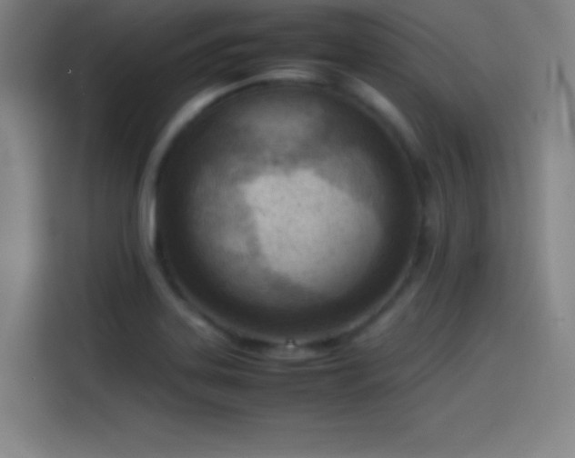 X0000114061323200910131138