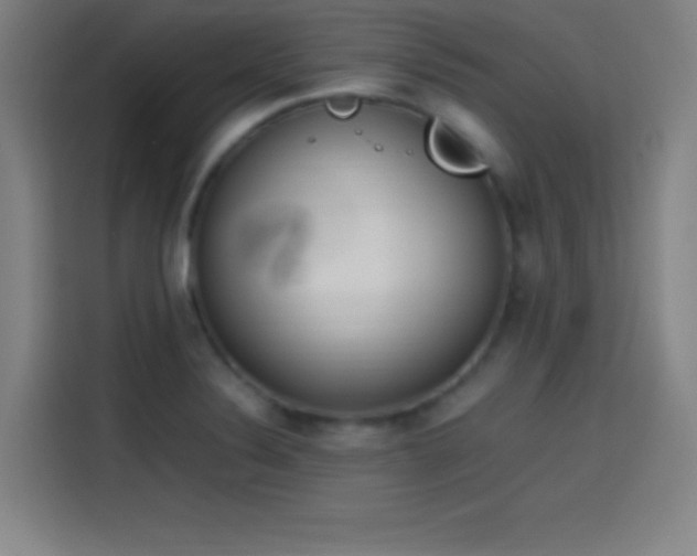 X0000114061324200910131138