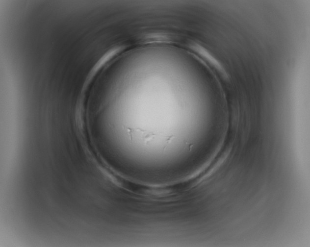 X0000114061325200910131138