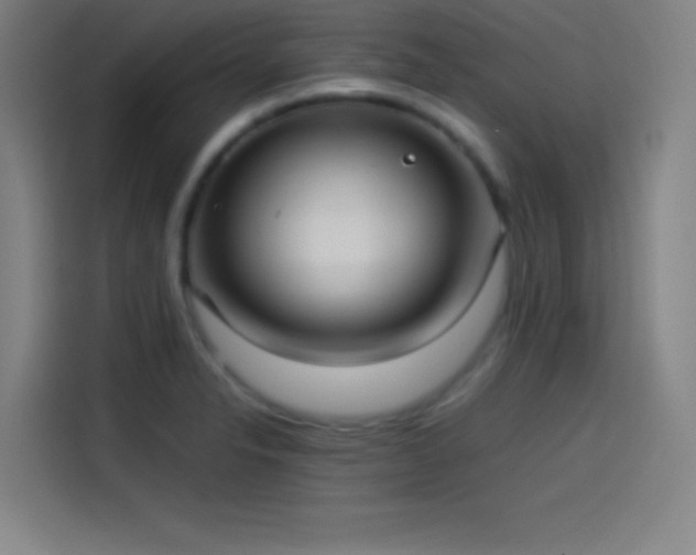 X0000114061326200910131138