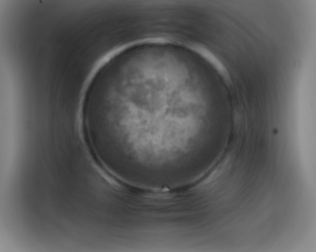 X0000114061327200910131138