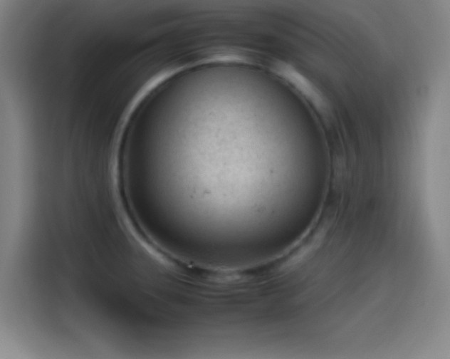 X0000114061331200910131138