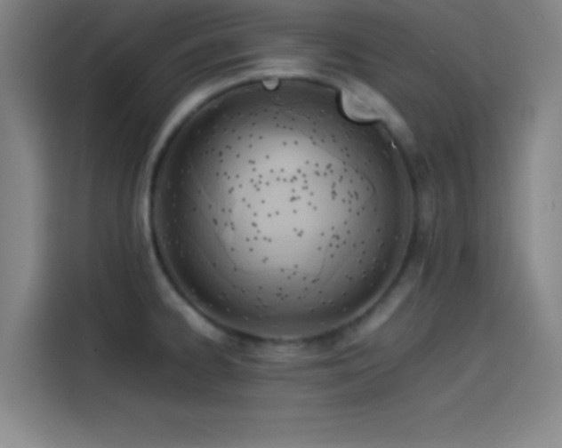 X0000114061334200910131138