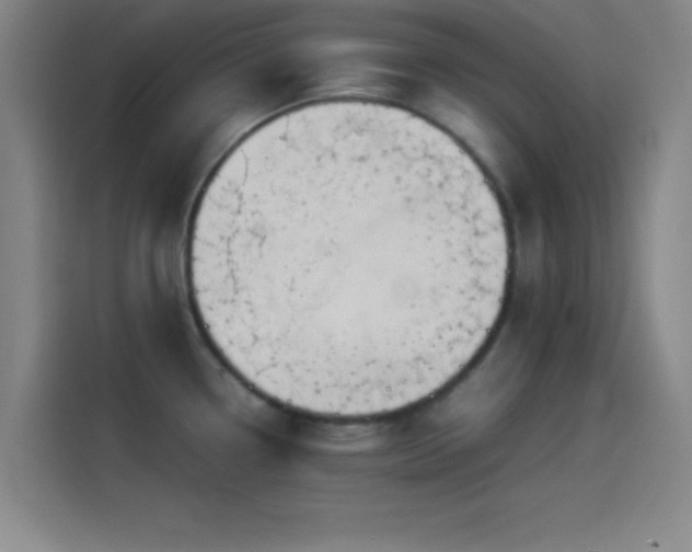 X0000114061338200910131138