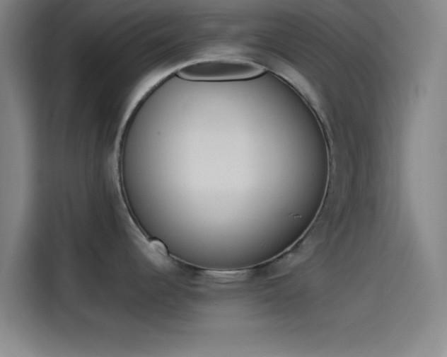 X0000114061344200910131138