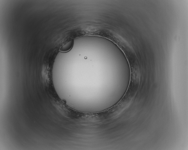 X0000114061346200910131137