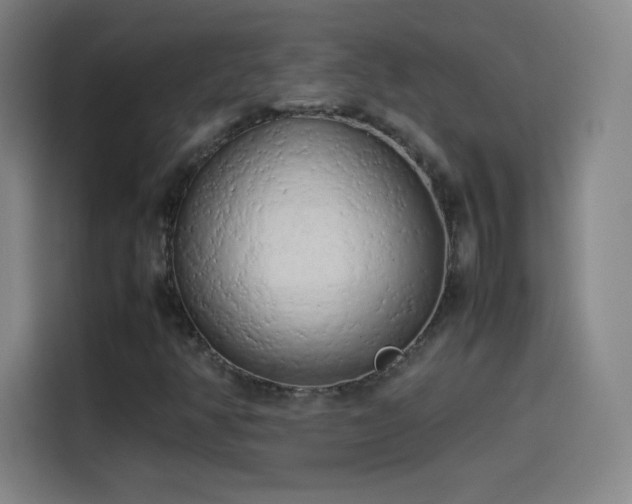 X0000114061350200910131137