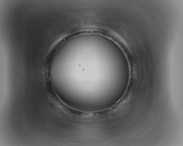 X0000114061352200910131137