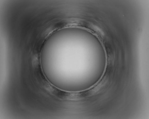 X0000114061353200910131137