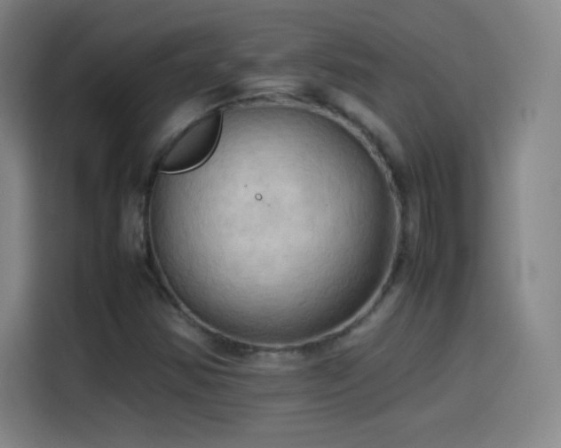 X0000114061354200910131137