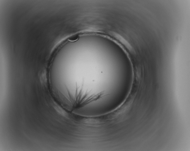 X0000114061356200910131137