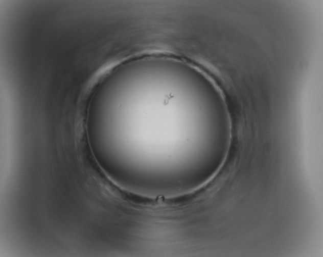 X0000114061359200910131137