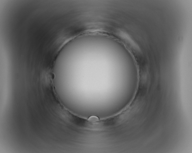 X0000114061361200910131137