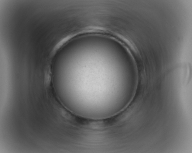 X0000114061363200910131137