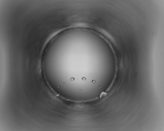 X0000114061364200910131137