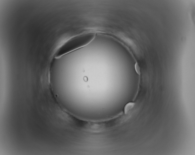 X0000114061365200910131137