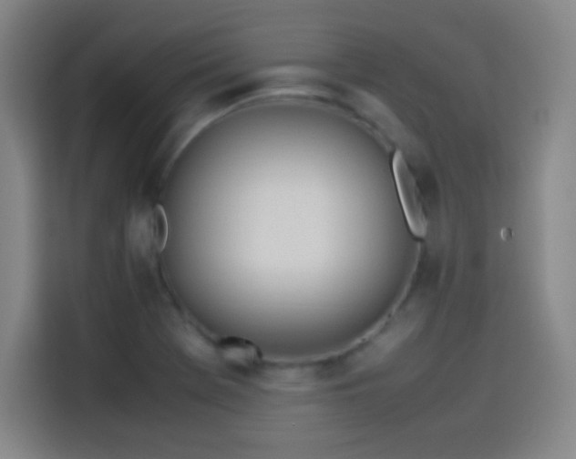 X0000114061369200910131137