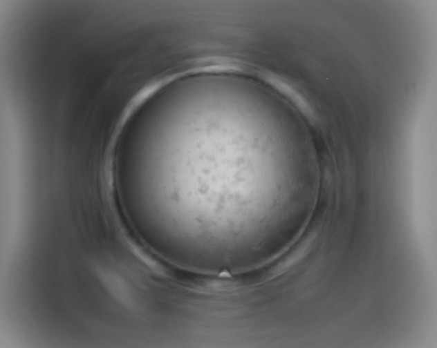 X0000114061375200910131137