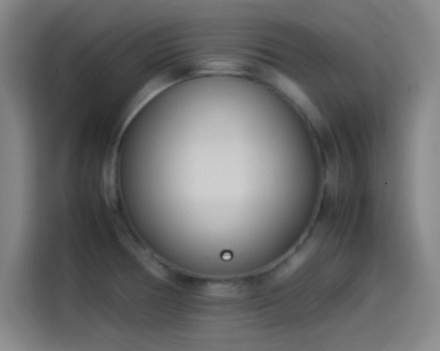 X0000114061378200910131137