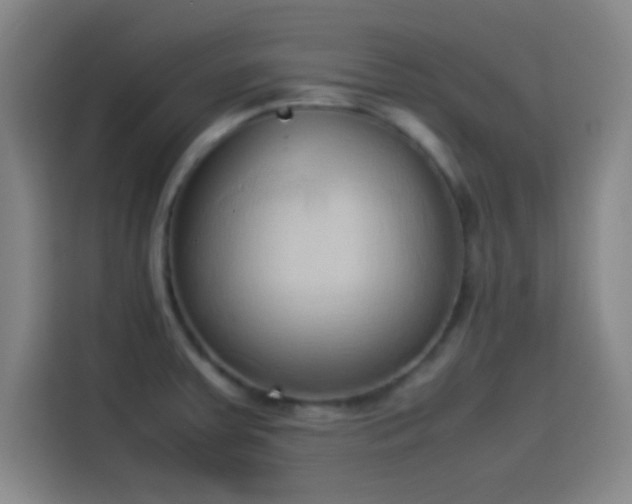 X0000114061379200910131137