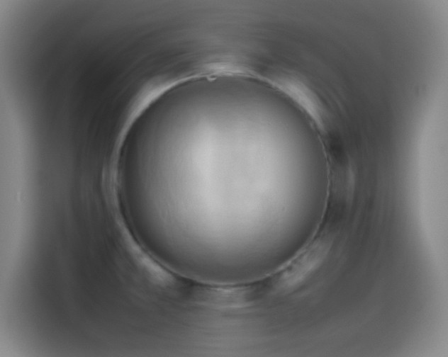 X0000114061381200910131137