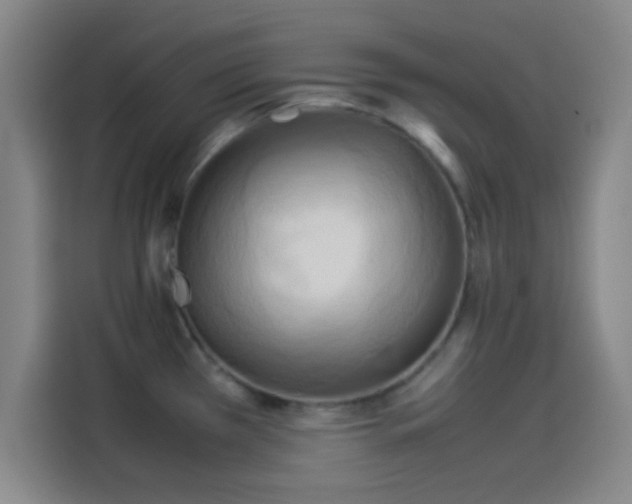 X0000114061385200910131137