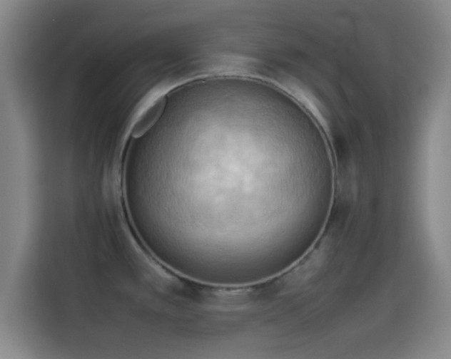 X0000114061389200910131137