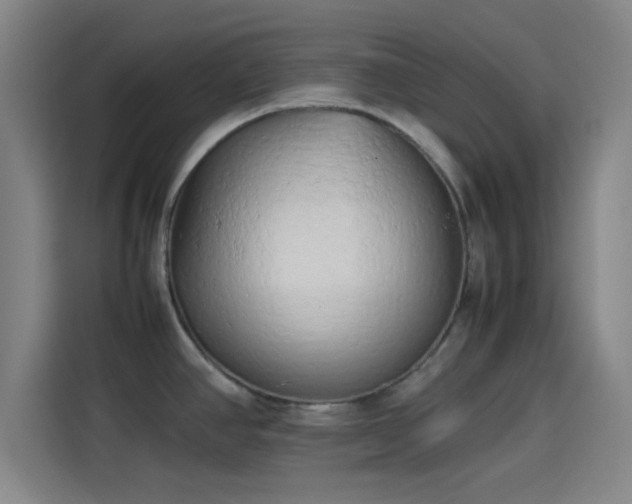 X0000114061390200910131137