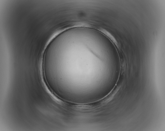 X0000114061391200910131137