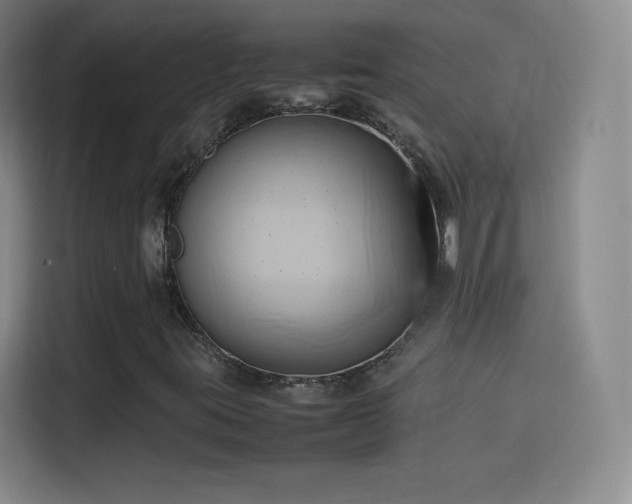 X0000114061395200910131136