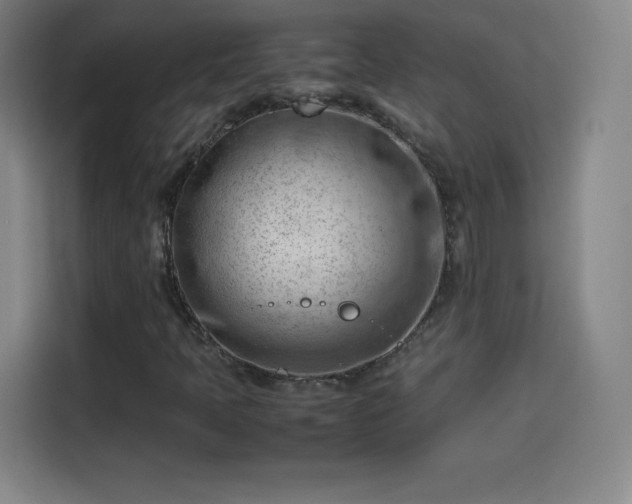 X0000114061397200910131136