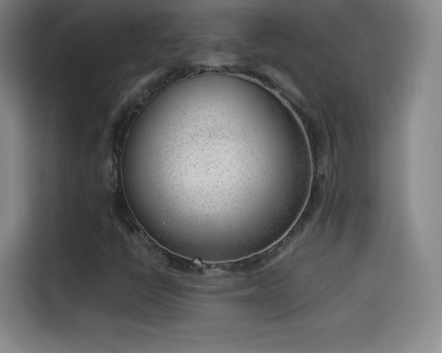 X0000114061398200910131136