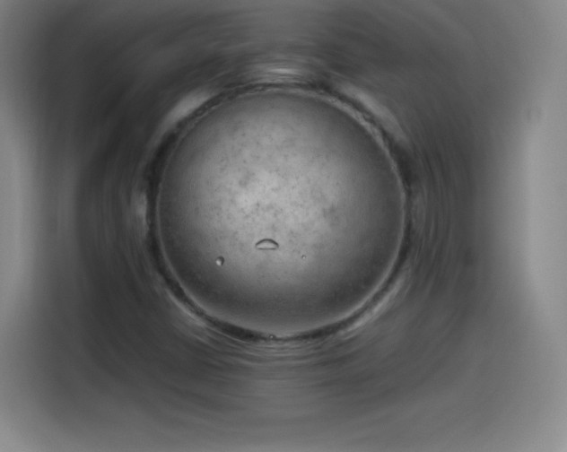 X0000114061402200910131136