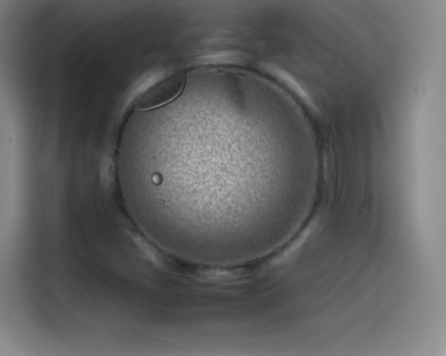 X0000114061405200910131136