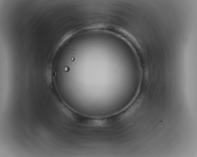 X0000114061409200910131136