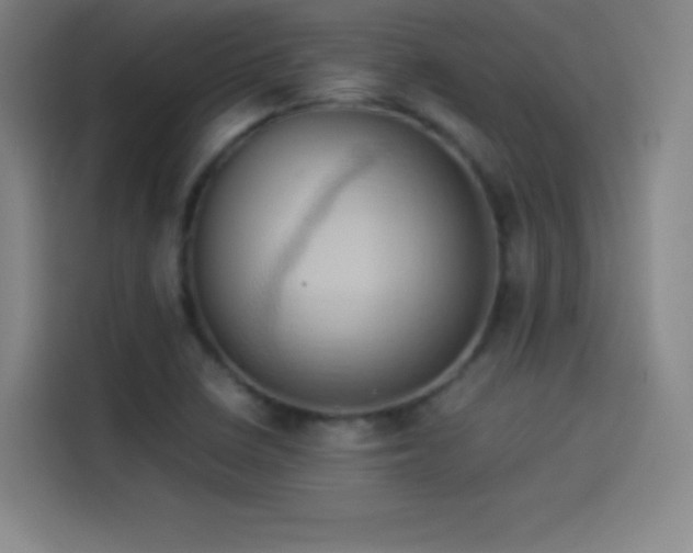 X0000114061410200910131136