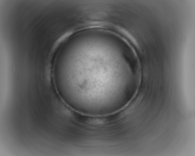 X0000114061411200910131136