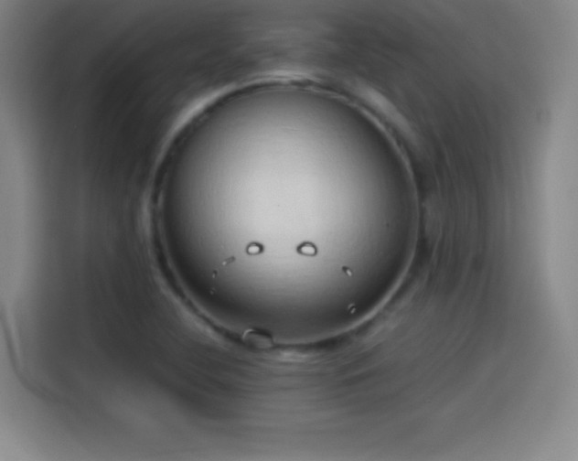 X0000114061412200910131136