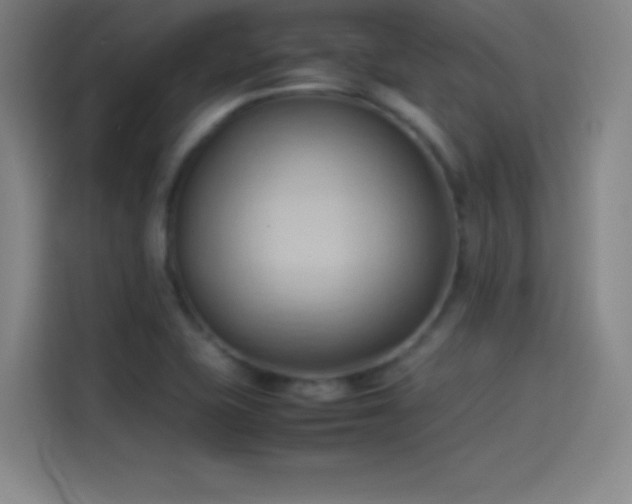 X0000114061415200910131136