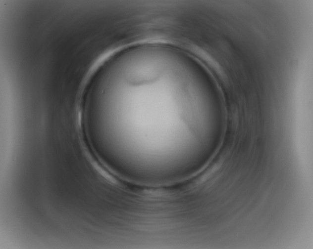 X0000114061416200910131136