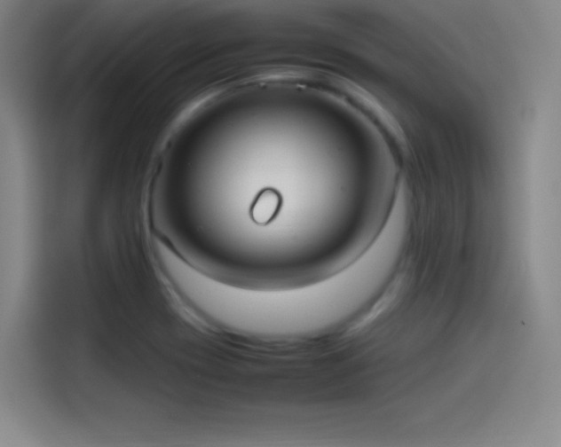 X0000114061417200910131136