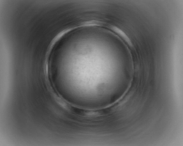 X0000114061419200910131136