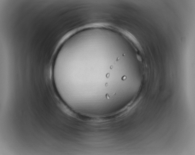 X0000114061420200910131136