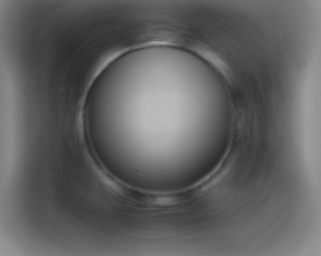 X0000114061423200910131136