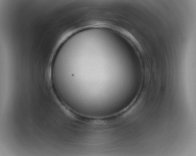 X0000114061424200910131136